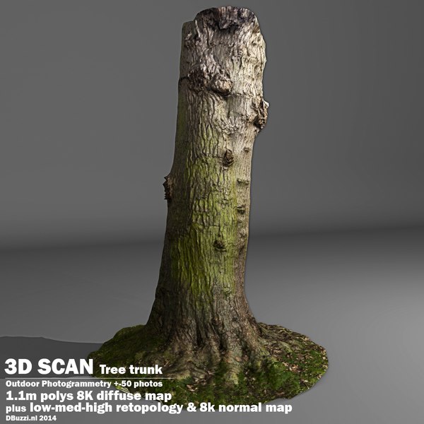 scan tree trunk 3d model