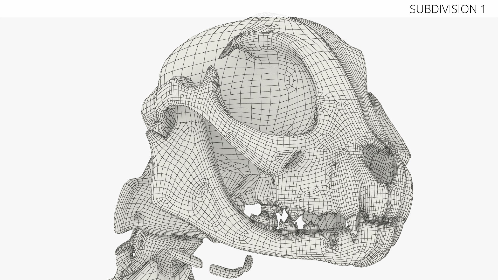 Cat Skeleton Anatomy Structure model https://p.turbosquid.com/ts-thumb/Ym/EiSsDC/IC/cat_skeleton_anatomy_structure_012/jpg/1776831546/1920x1080/fit_q87/82faf362327e7a289bf0534aea5eb8706525eba9/cat_skeleton_anatomy_structure_012.jpg