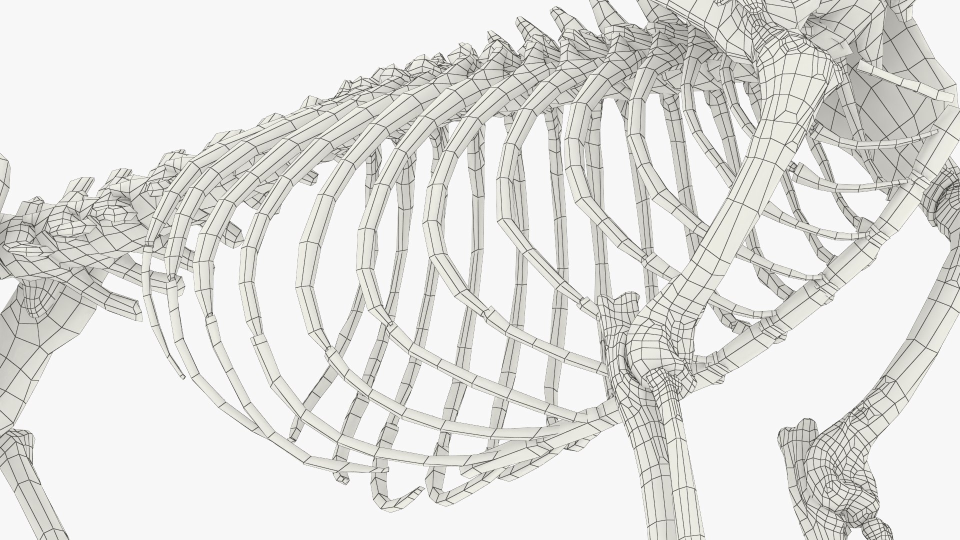Cat Skeleton Anatomy Structure model https://p.turbosquid.com/ts-thumb/Ym/EiSsDC/W5/cat_skeleton_anatomy_structure_014/jpg/1776831552/1920x1080/fit_q87/1d7a1892f93f29ddf017a76f7081488d9a5b3bf3/cat_skeleton_anatomy_structure_014.jpg