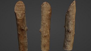 Log 3D