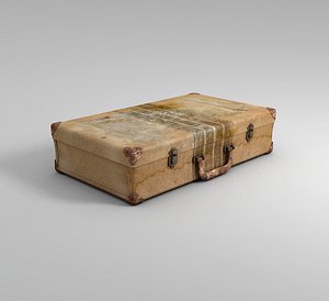 Cardboard suitcase