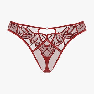 3D Lace Brief SS 116