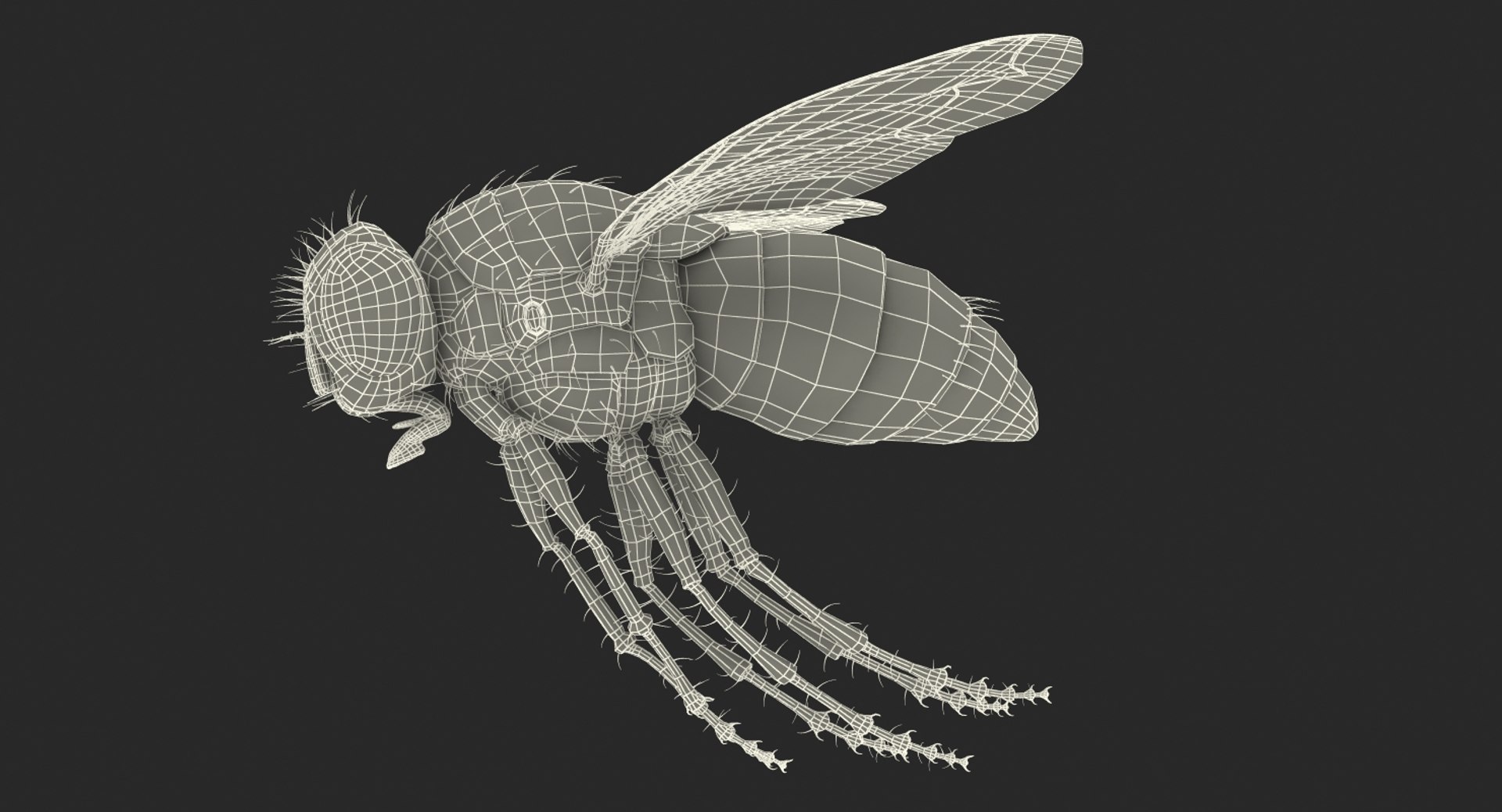 flying house fur 3d model https://p.turbosquid.com/ts-thumb/Yn/2onnp4/5Ie4us03/flypose3withfur3dsmodel017/jpg/1483474094/1920x1080/fit_q87/b7f74d485b3ec9f4659ded6709218c605d1220c7/flypose3withfur3dsmodel017.jpg