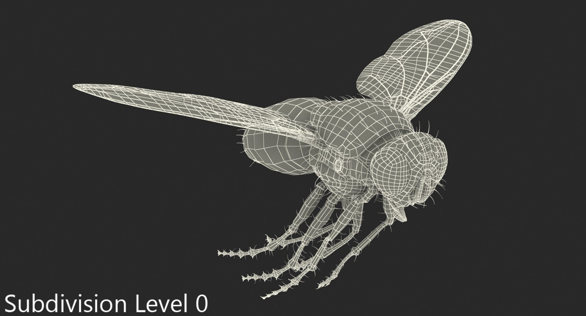 flying house fur 3d model https://p.turbosquid.com/ts-thumb/Yn/2onnp4/rWCufrBD/flypose3withfur3dsmodel011/jpg/1483474094/1920x1080/fit_q87/30218530b69748721777740088fabb6cdbd1f02a/flypose3withfur3dsmodel011.jpg
