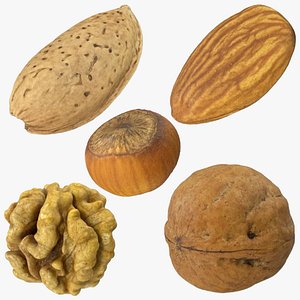 Nuts Collection 3D