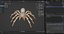 3D 3D Spider Tarantula Rigged and Animation