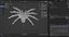 3D 3D Spider Tarantula Rigged and Animation