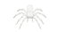 3D 3D Spider Tarantula Rigged and Animation
