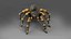 3D 3D Spider Tarantula Rigged and Animation