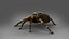 3D 3D Spider Tarantula Rigged and Animation