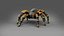 3D 3D Spider Tarantula Rigged and Animation