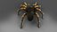 3D 3D Spider Tarantula Rigged and Animation