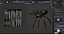 3D 3D Spider Tarantula Rigged and Animation