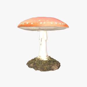 3D Realistic Amanita Muscaria Fly Agaric Mushroom 3D Model Game  Render Ready