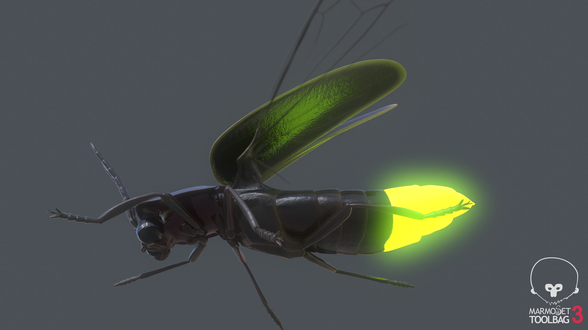 Firefly Pbr Model - TurboSquid 1604512