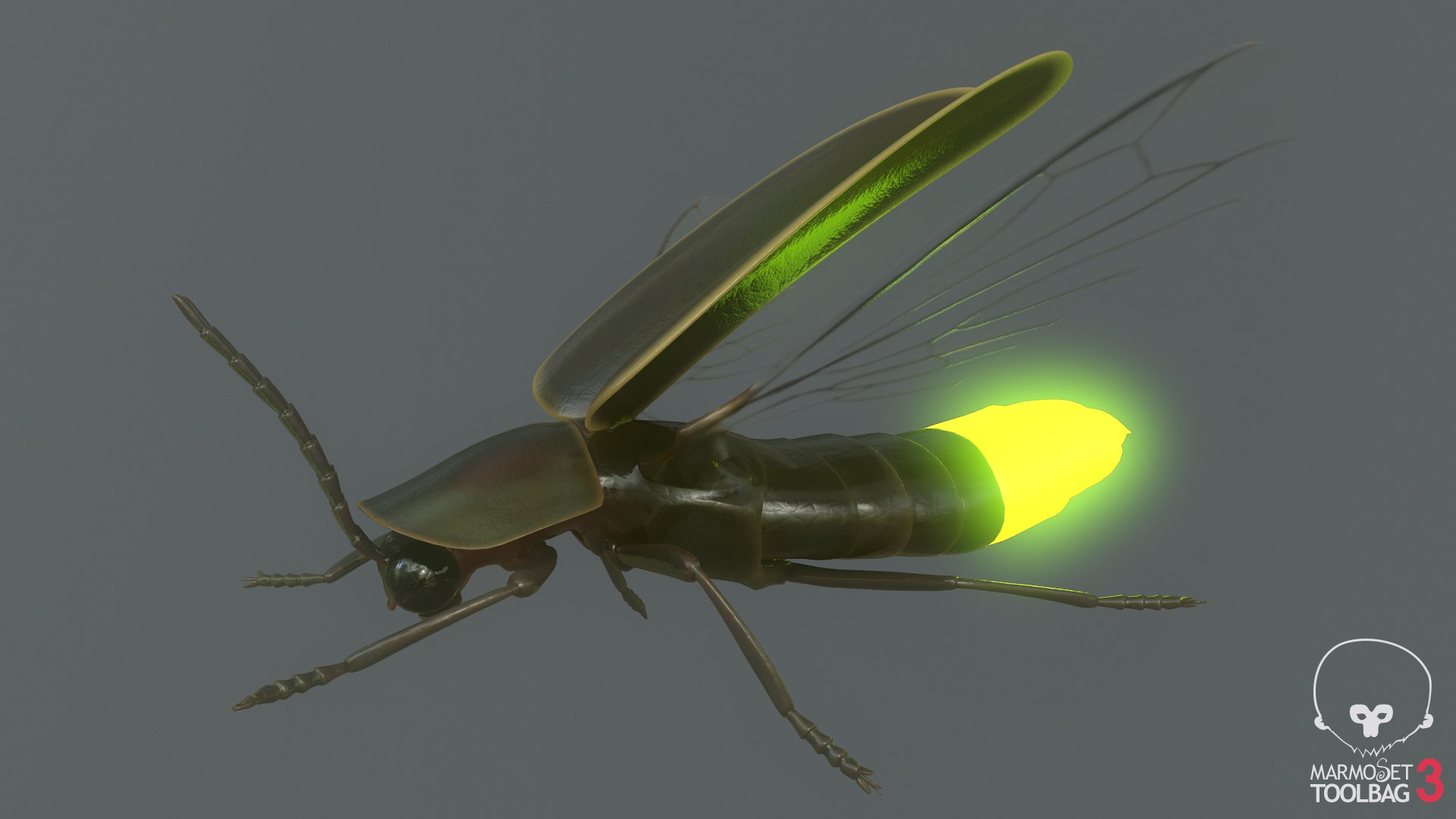 Firefly Pbr Model - Turbosquid 1604512