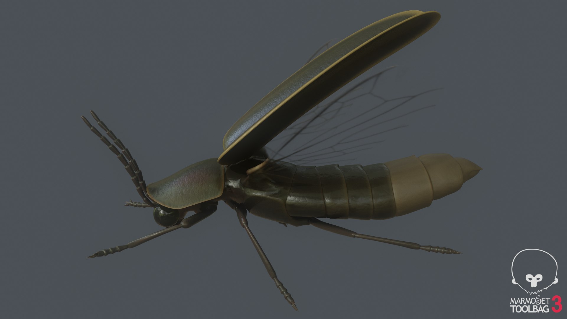 Firefly Pbr Model - TurboSquid 1604512