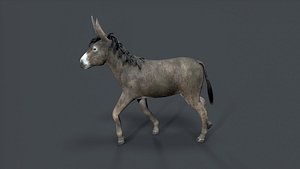 donkey 3D model