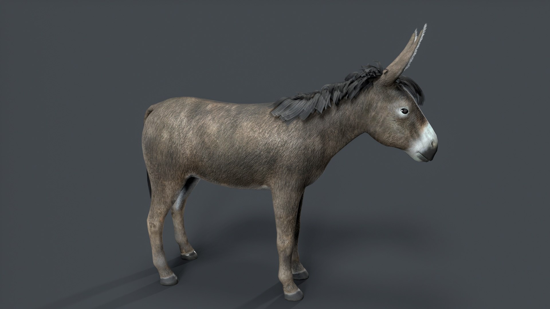 donkey 3D model https://p.turbosquid.com/ts-thumb/Yn/Gc2TAq/BA/tbrender_007/jpg/1761122820/1920x1080/fit_q87/2e6b43a6d5e19b8e9c49bf23cfa1f96f1fcd6ce3/tbrender_007.jpg