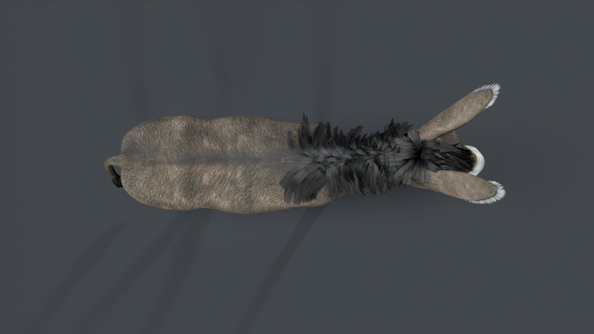 donkey 3D model https://p.turbosquid.com/ts-thumb/Yn/Gc2TAq/Hd/tbrender_006/jpg/1761122819/1920x1080/fit_q87/c1a41d95db6932d1236cf2c1152bec9182c543f3/tbrender_006.jpg