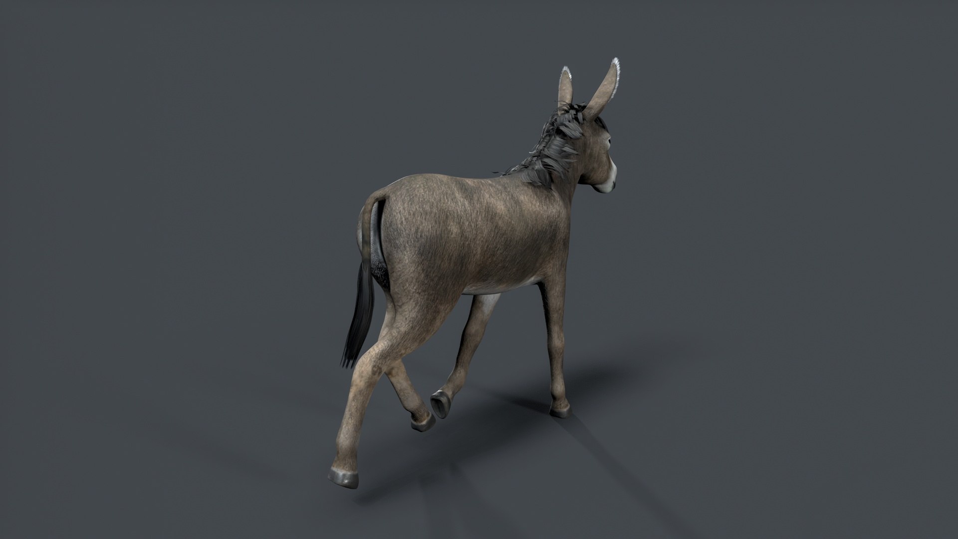 donkey 3D model https://p.turbosquid.com/ts-thumb/Yn/Gc2TAq/LP/tbrender_005/jpg/1761122817/1920x1080/fit_q87/c3c43b4d3128b8b8c1a6d194aaadae0ba5433870/tbrender_005.jpg