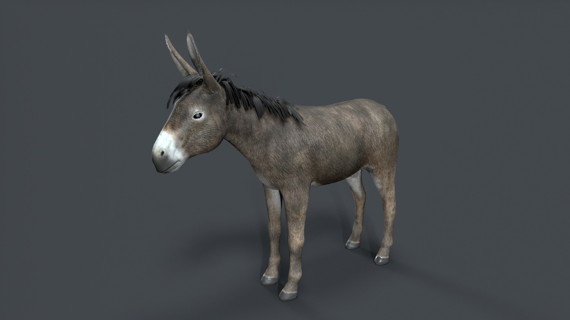 donkey 3D model https://p.turbosquid.com/ts-thumb/Yn/Gc2TAq/Nh/tbrender_008/jpg/1761122821/1920x1080/fit_q87/fa3d3b2750a6978f3e9e62cd5f134ab58eb81185/tbrender_008.jpg
