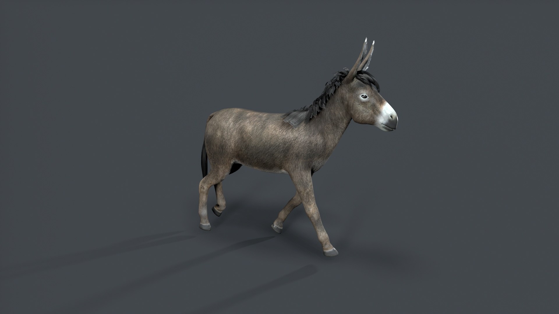 donkey 3D model https://p.turbosquid.com/ts-thumb/Yn/Gc2TAq/qM/tbrender_004/jpg/1761122816/1920x1080/fit_q87/5333bc6f70e9902c91ce8e2ff72254df44544bbc/tbrender_004.jpg
