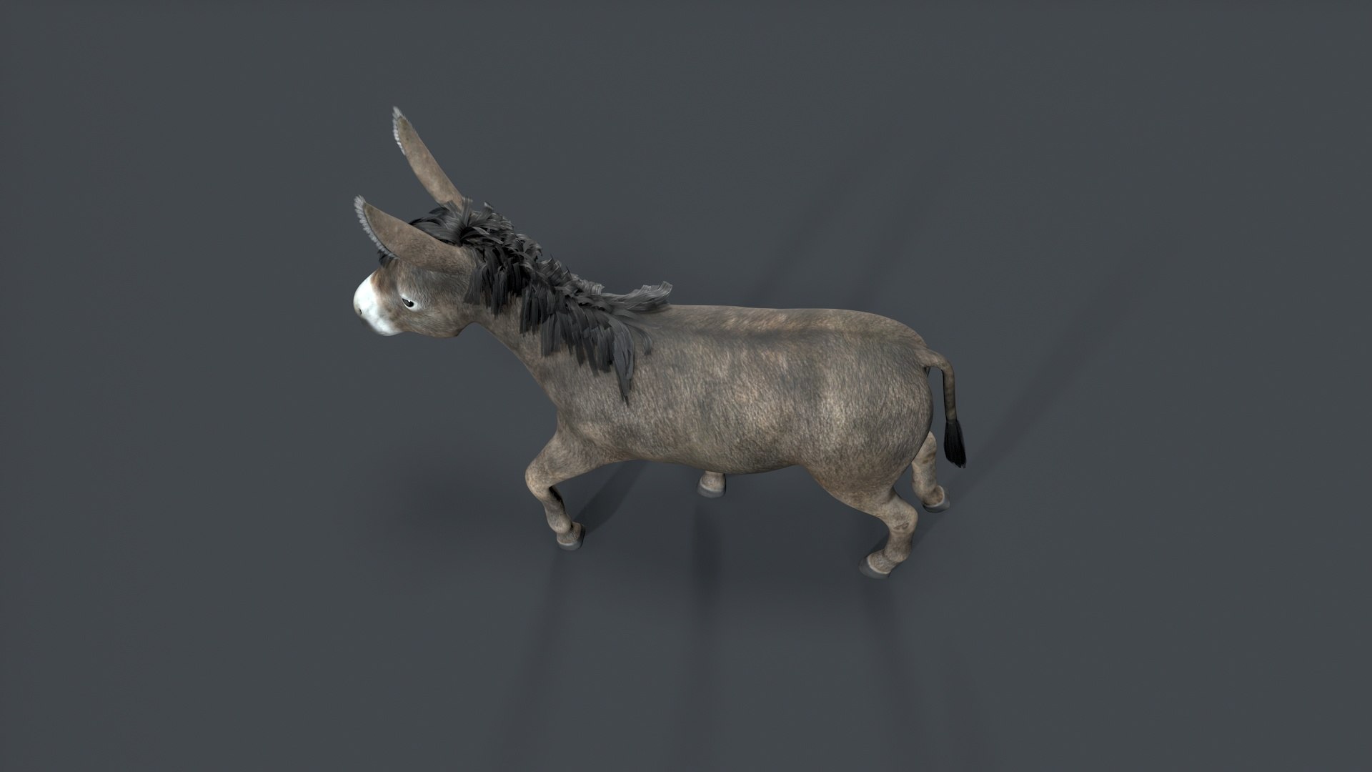 donkey 3D model https://p.turbosquid.com/ts-thumb/Yn/Gc2TAq/zM/tbrender_003/jpg/1761122815/1920x1080/fit_q87/5e9d421b5a71987dd3fdac58d8d0b77e6edf07ce/tbrender_003.jpg