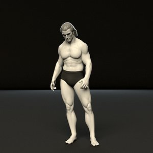 3D rigged humanik