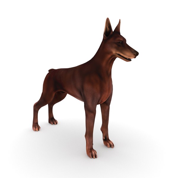 Doberman studio 3d на русском