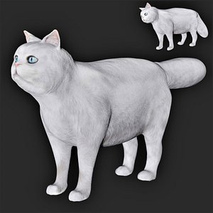 Fully rigged low poly Persian White cat 3D model