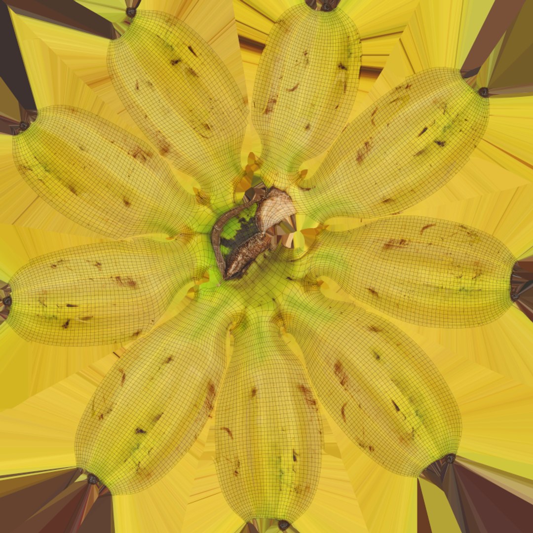Fresh Banana Bunch 3D https://p.turbosquid.com/ts-thumb/Yn/MJDsRP/4h/bunchbananav1_e0004/png/1778814717/1920x1080/fit_q87/05e4a1e155aaa4c969eb8d79f80759ddbddbc572/bunchbananav1_e0004.jpg