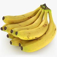 Fresh Banana Bunch