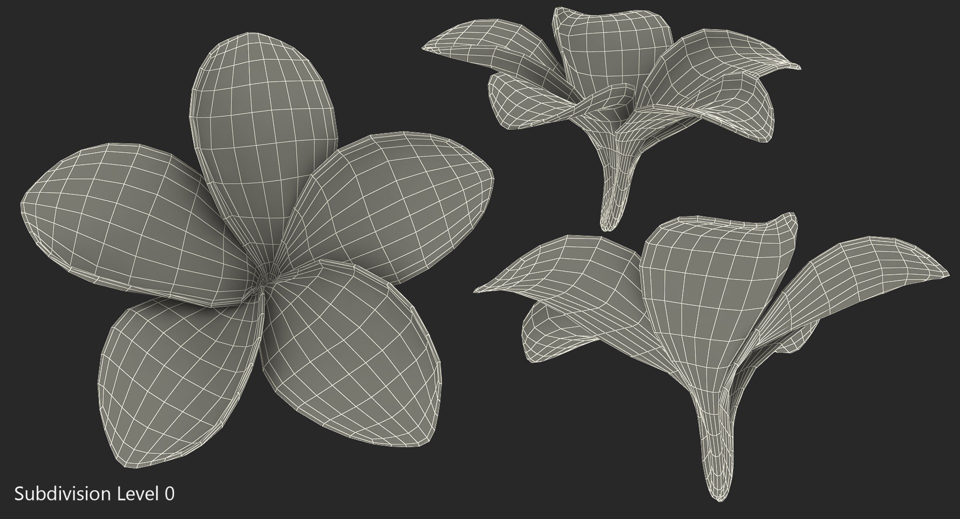 plumeria flower 3D model https://p.turbosquid.com/ts-thumb/Yn/S2Xh1a/wOoIoEVK/plumeriaflowercollectionc4dmodel025/jpg/1509197891/1920x1080/fit_q87/5bec1a52d95ebcb4d945dc63d497efbefd85be2c/plumeriaflowercollectionc4dmodel025.jpg
