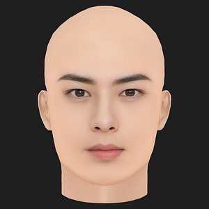 Low Poly Cha Eun-woo Head