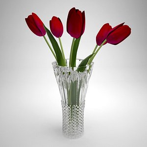 vase tulips max