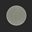 Baseball Ball