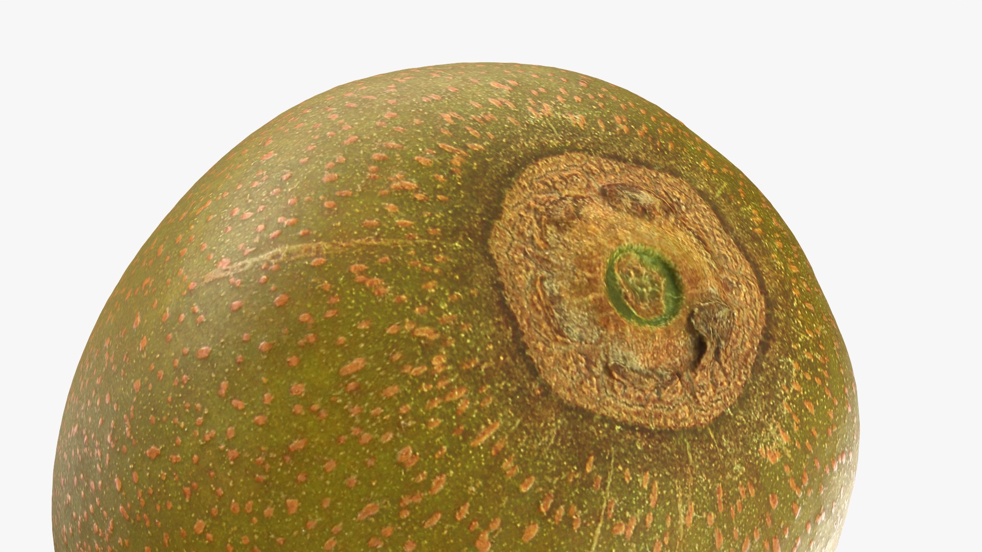 3D Golden Kiwi model https://p.turbosquid.com/ts-thumb/Yn/q2EwI6/dq/kiwigolden_0011/png/1761038924/1920x1080/fit_q87/8eec214050e8d36ff971fd9f21679b380979a9b6/kiwigolden_0011.jpg