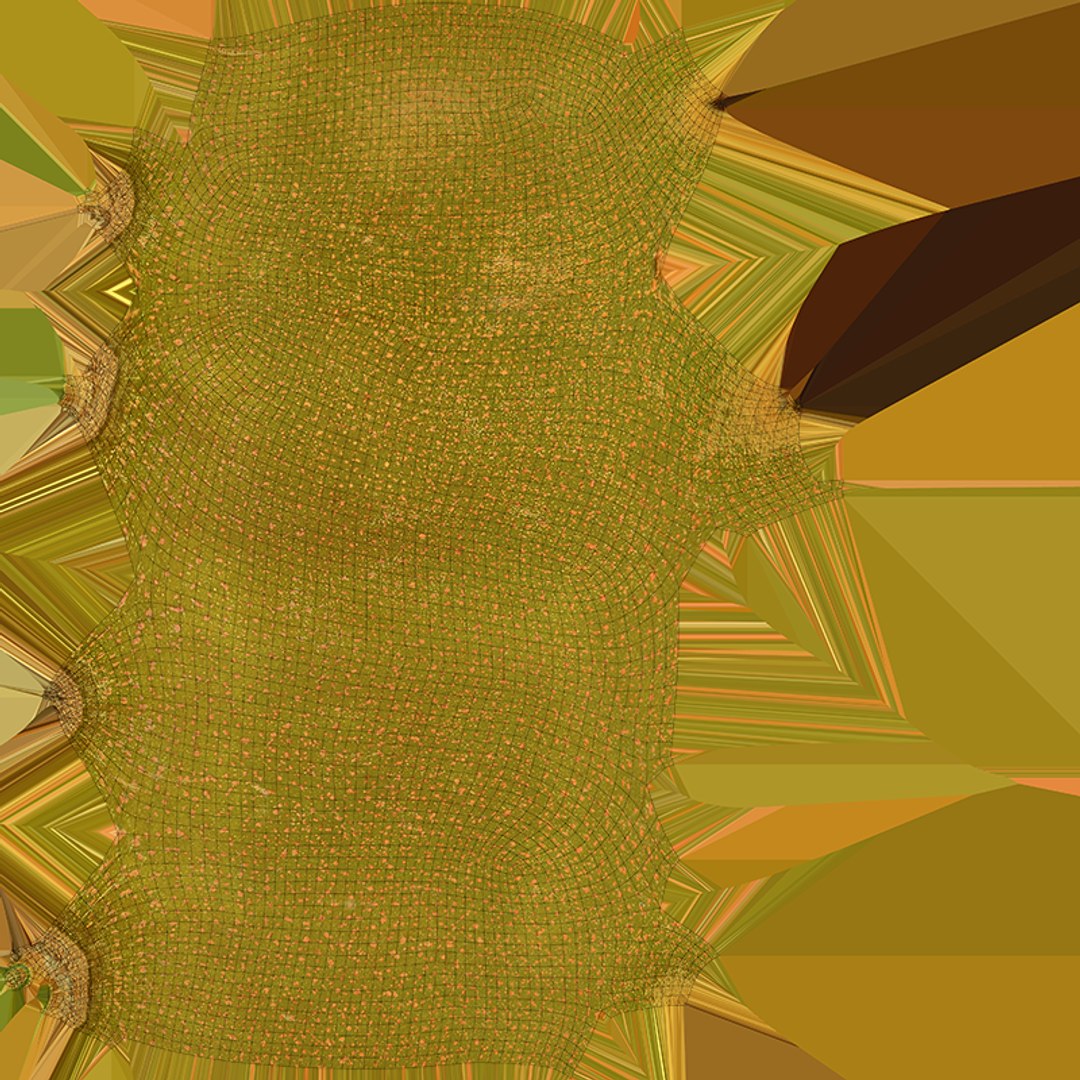 3D Golden Kiwi model https://p.turbosquid.com/ts-thumb/Yn/q2EwI6/qW/kiwigolden_c0004/png/1761038920/1920x1080/fit_q87/13da6bffb4f898ccc96e6f474eea3af4ba0164b8/kiwigolden_c0004.jpg