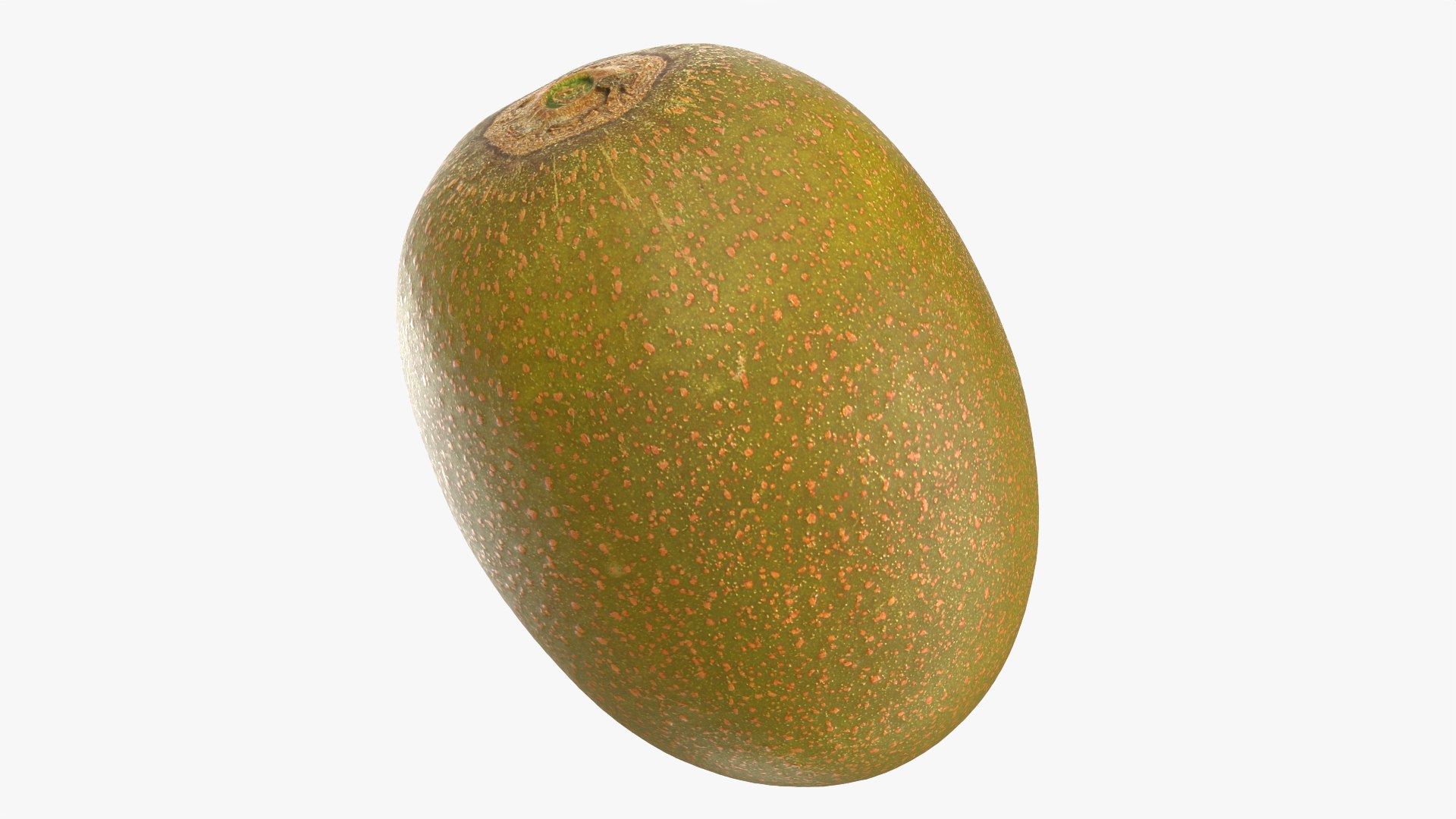 3D Golden Kiwi model https://p.turbosquid.com/ts-thumb/Yn/q2EwI6/rM/kiwigolden_0008/png/1761038909/1920x1080/fit_q87/1cbbcaf74e292f4acd3706c6f8752c3cbfcbe774/kiwigolden_0008.jpg