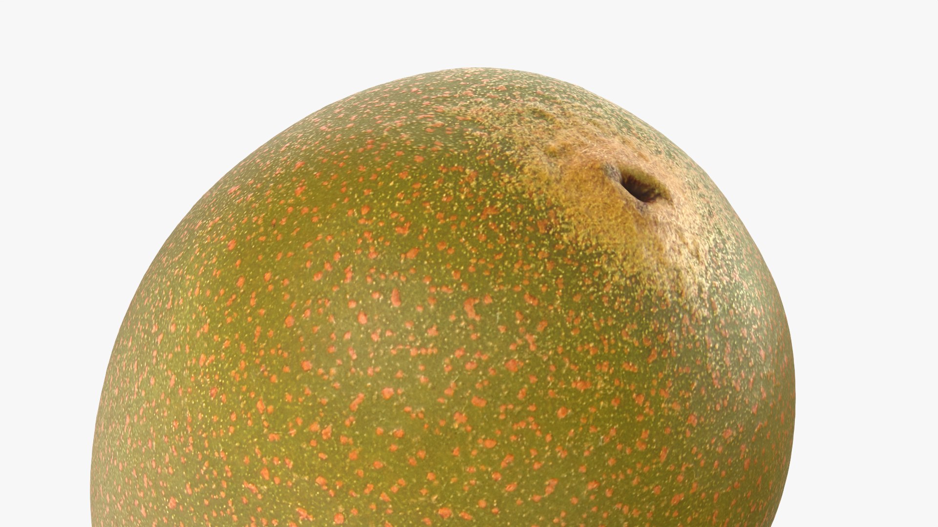 3D Golden Kiwi model https://p.turbosquid.com/ts-thumb/Yn/q2EwI6/ru/kiwigolden_0012/png/1761038925/1920x1080/fit_q87/147086008f901d3b406c03b8706fff04cbf12392/kiwigolden_0012.jpg