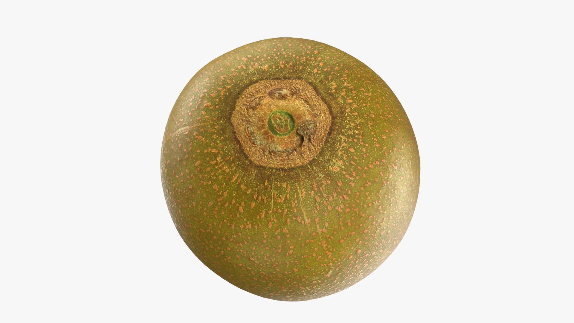3D Golden Kiwi model https://p.turbosquid.com/ts-thumb/Yn/q2EwI6/uE/kiwigolden_0004/png/1761038904/1920x1080/fit_q87/cb62be2beae4e109a8647138b4a5f7e4ba0e353c/kiwigolden_0004.jpg