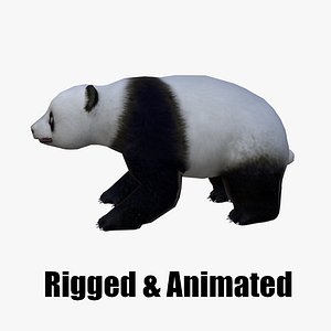 animated panda 3D model