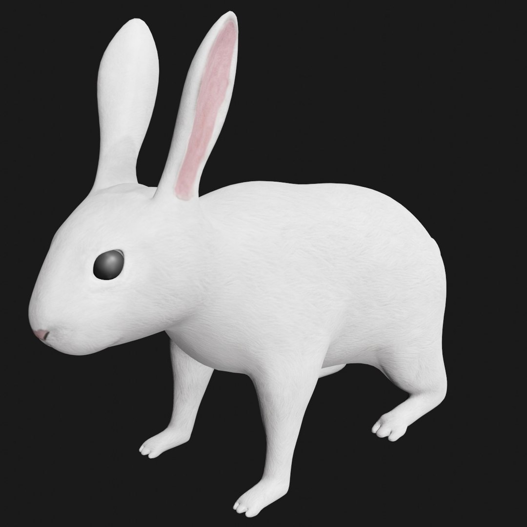 3D Realistic Rigged Rabbit - TurboSquid 1669524