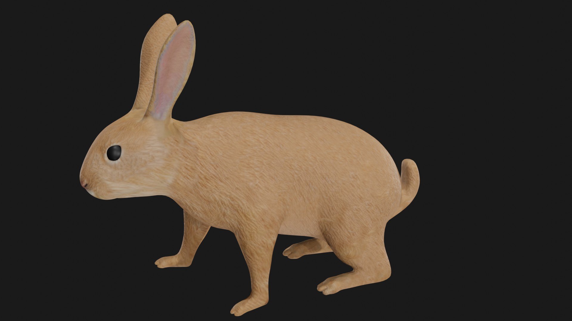 3D Realistic Rigged Rabbit - TurboSquid 1669524