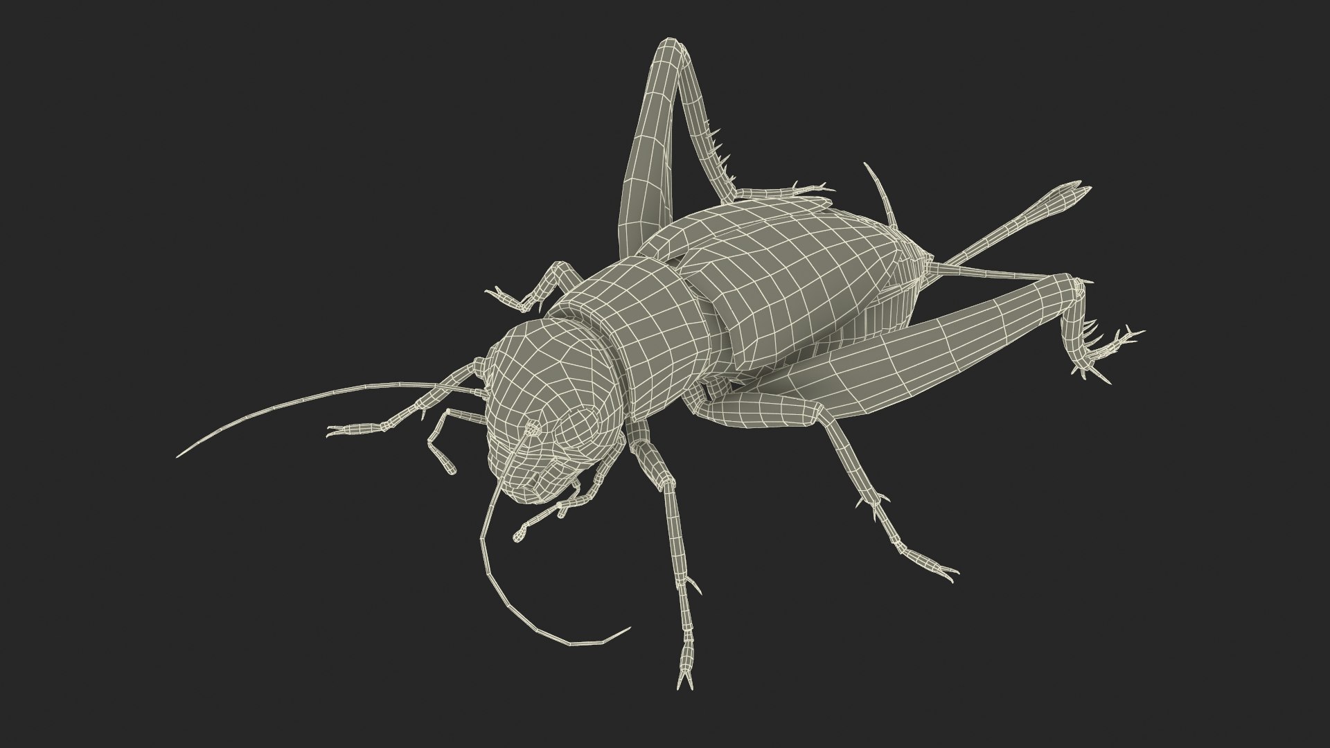3D Field Cricket Standart Pose https://p.turbosquid.com/ts-thumb/Yo/187TIU/NX/fieldcricketstandartposevray3dmodel020/jpg/1719646087/1920x1080/fit_q87/58430681b7ba2b55972c9bb4f72d5518005a91a9/fieldcricketstandartposevray3dmodel020.jpg