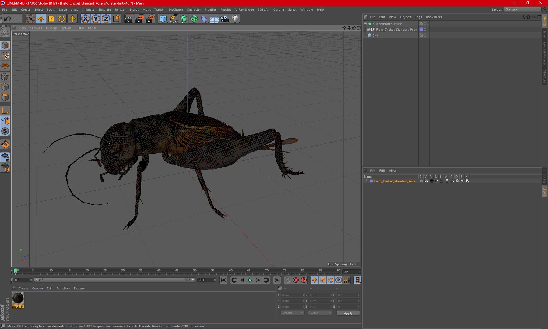 3D Field Cricket Standart Pose https://p.turbosquid.com/ts-thumb/Yo/187TIU/Q4/fieldcricketstandartposevray3dmodel016/jpg/1719646071/1920x1080/fit_q87/98794f1607a8b5c2de0b5779d05b23a78dfabf7b/fieldcricketstandartposevray3dmodel016.jpg