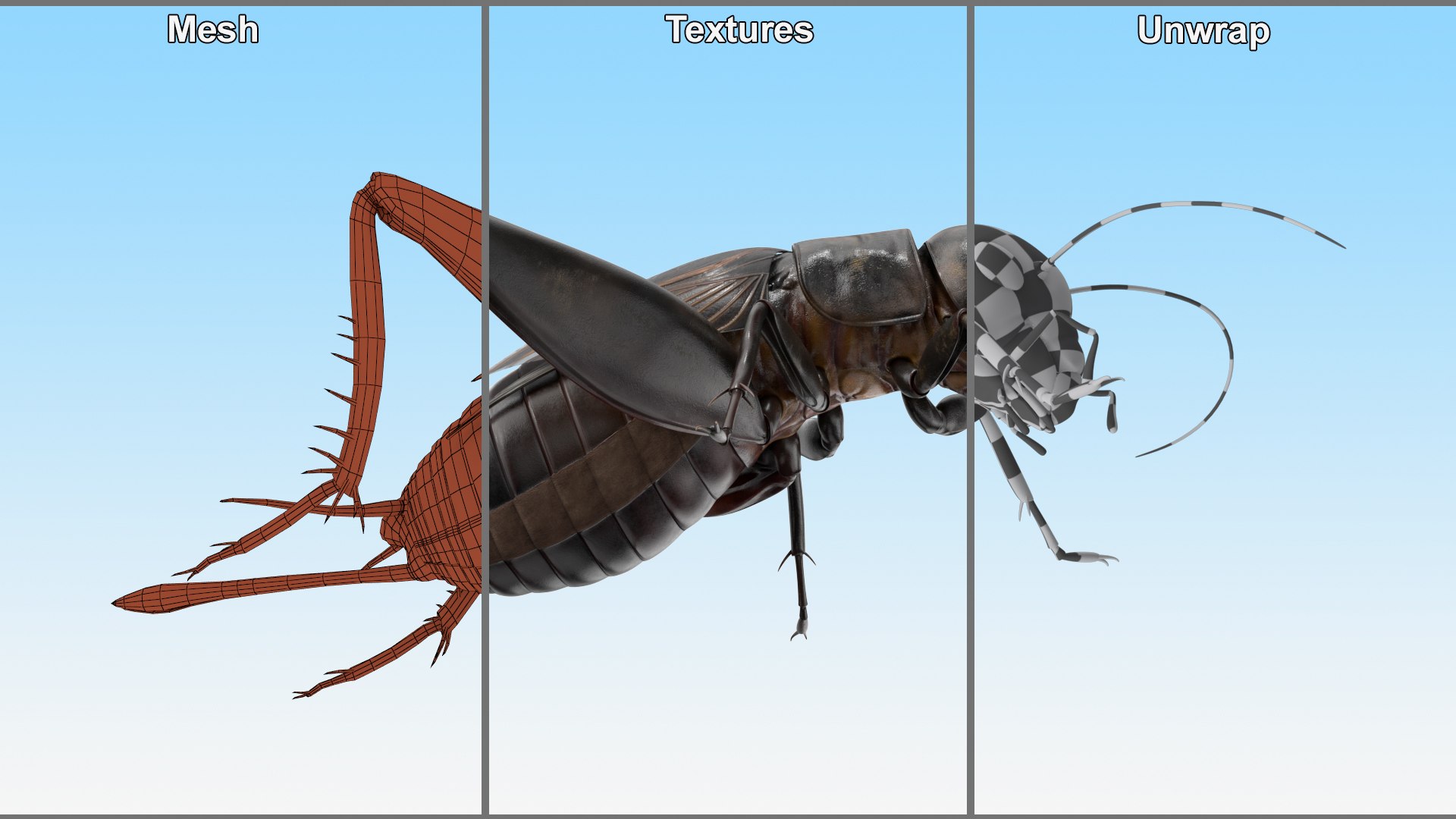 3D Field Cricket Standart Pose https://p.turbosquid.com/ts-thumb/Yo/187TIU/Wz/fieldcricketstandartposevray3dmodel010/jpg/1719646043/1920x1080/fit_q87/64902302a47e292fabd26b3882c631d23d3eb7d0/fieldcricketstandartposevray3dmodel010.jpg