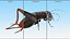 3D Field Cricket Standart Pose