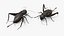 3D Field Cricket Standart Pose